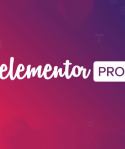 Elementor Pro